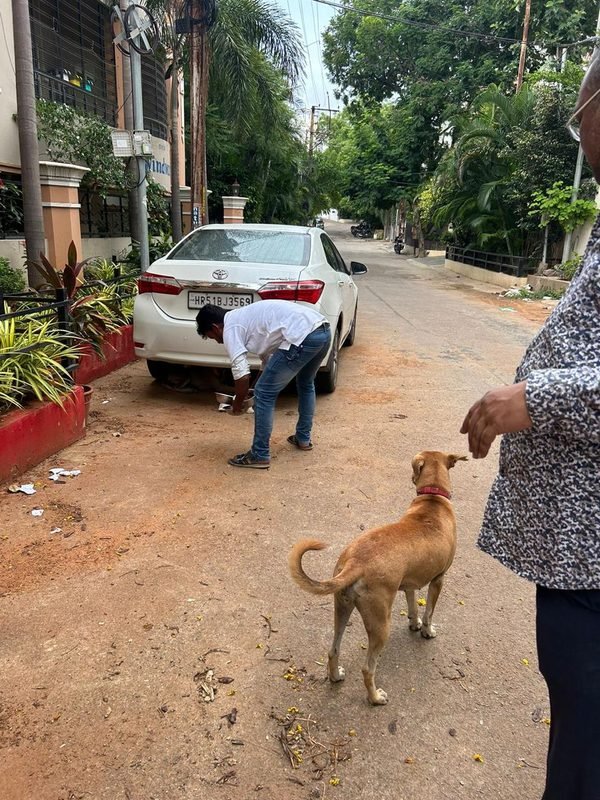 Community feeding drive